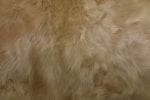 SHEEPSKIN OCTO OYSTER