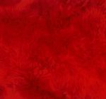 S/SKIN DOUBLE RED
