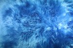 BRIGHT BLUE