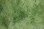 Light Green Rug