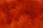 BURNT ORANGE