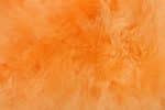 LIGHT ORANGE