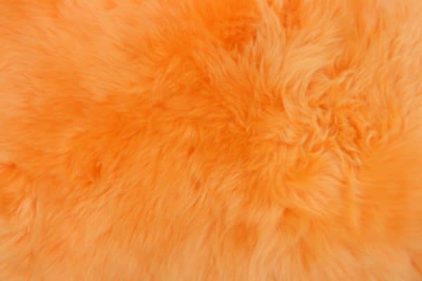 LIGHT ORANGE