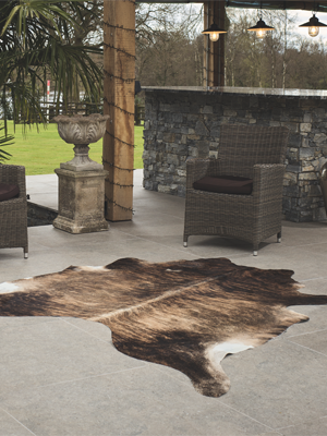 Image of one of Hanlin's Wholesale Cowhide, Sheepskin or Reindeer Hide